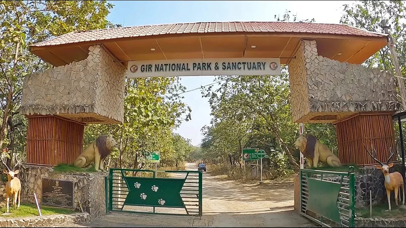 Gir National Park Timings