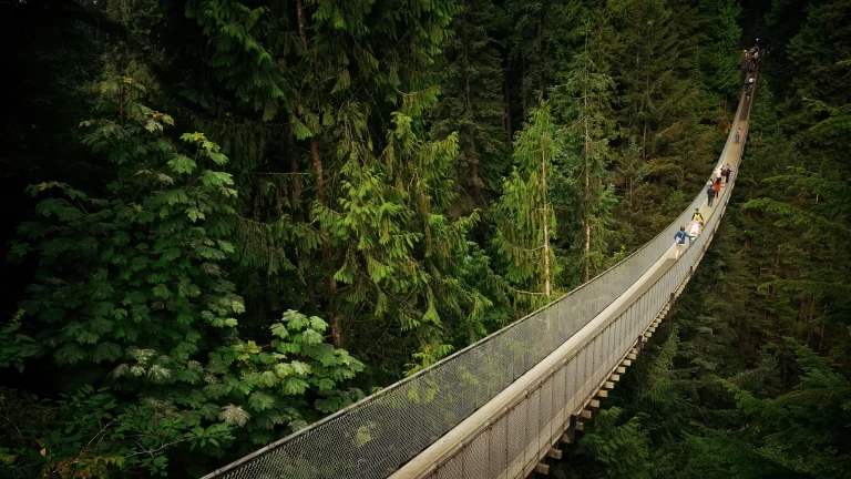 Capilano Suspension Bridge Park Hours, Tickets, Address