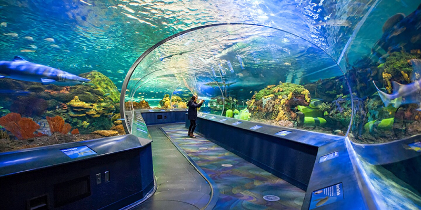 Ripley's Aquarium Hours, Tickets, Address