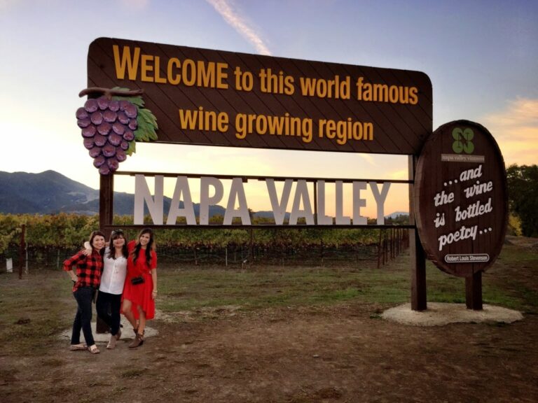 Visit in the Napa Valley